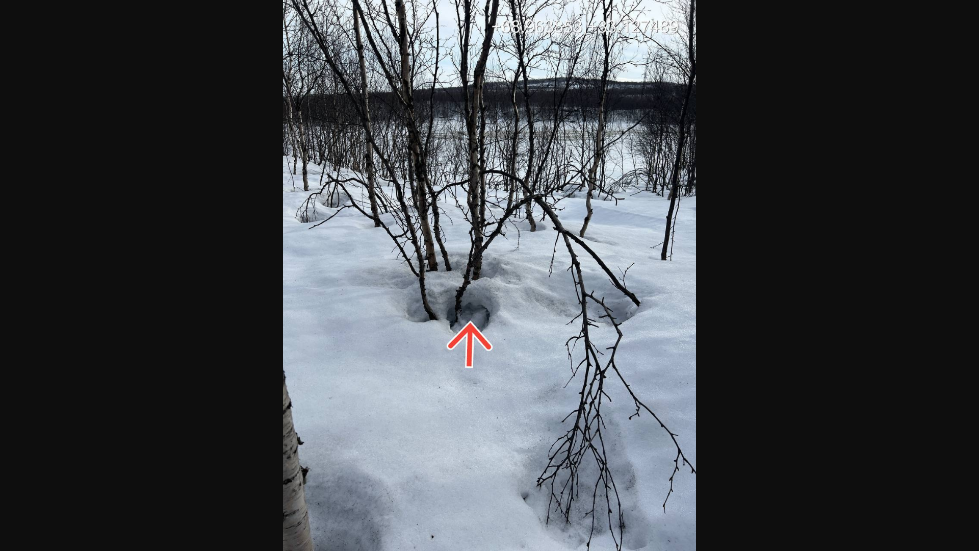 website screenshot of https://fondimg.com/img/6/p/69be554f98d7f.jpg