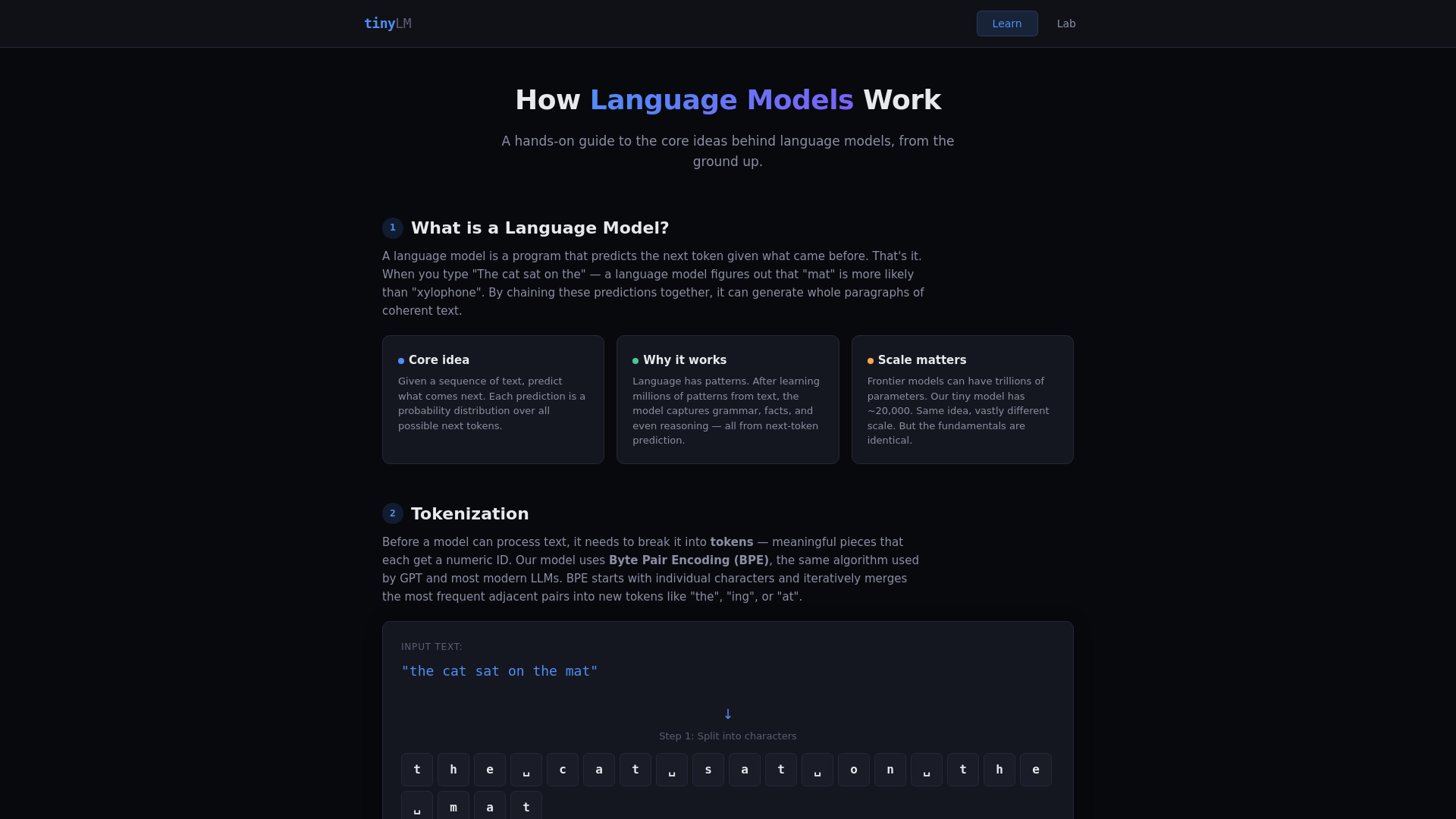 website screenshot of https://tiny-lm.cc/