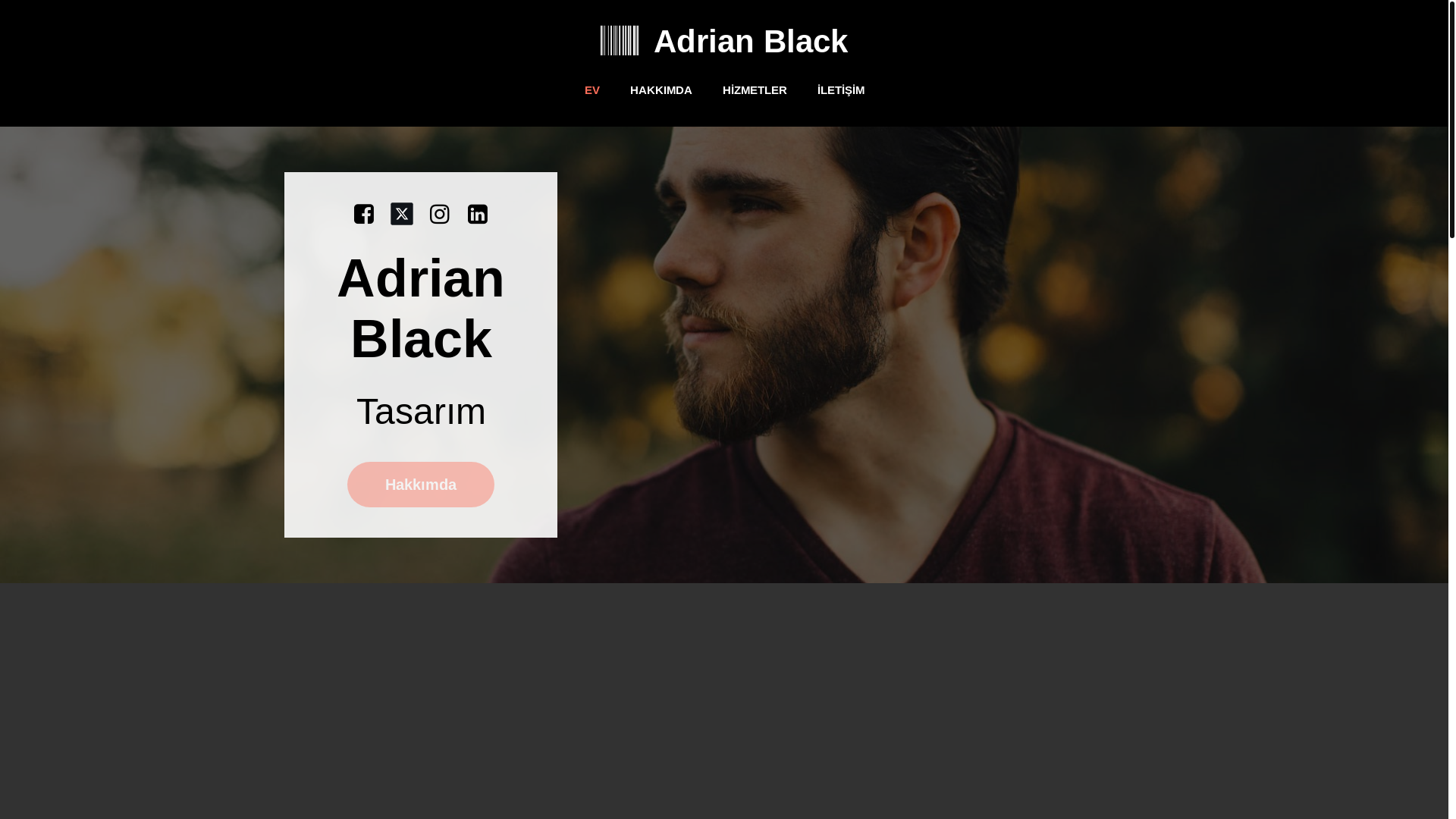 website screenshot of https://testyapalimm.com/