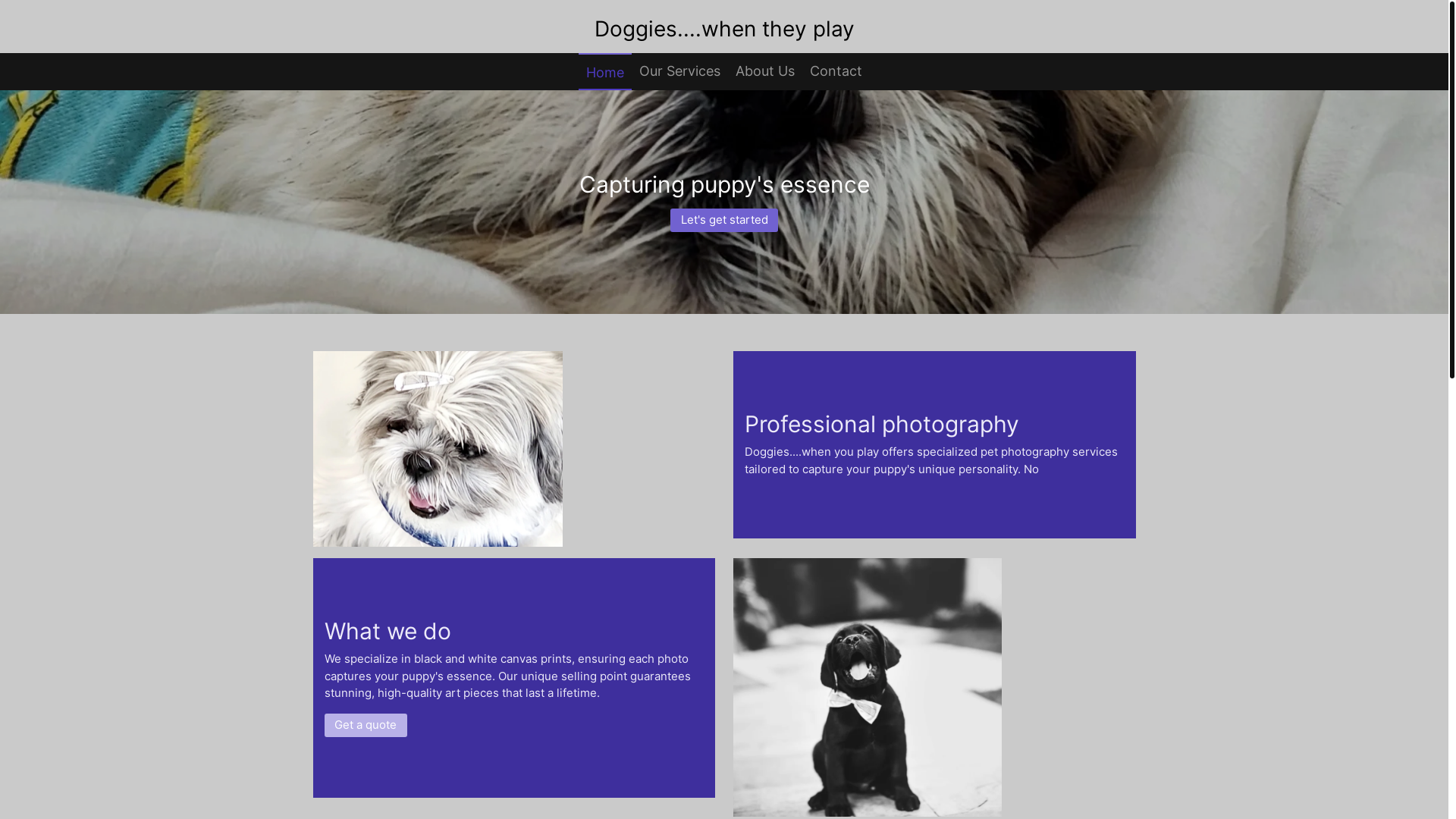 website screenshot of https://doggies-whentheyplay.com/