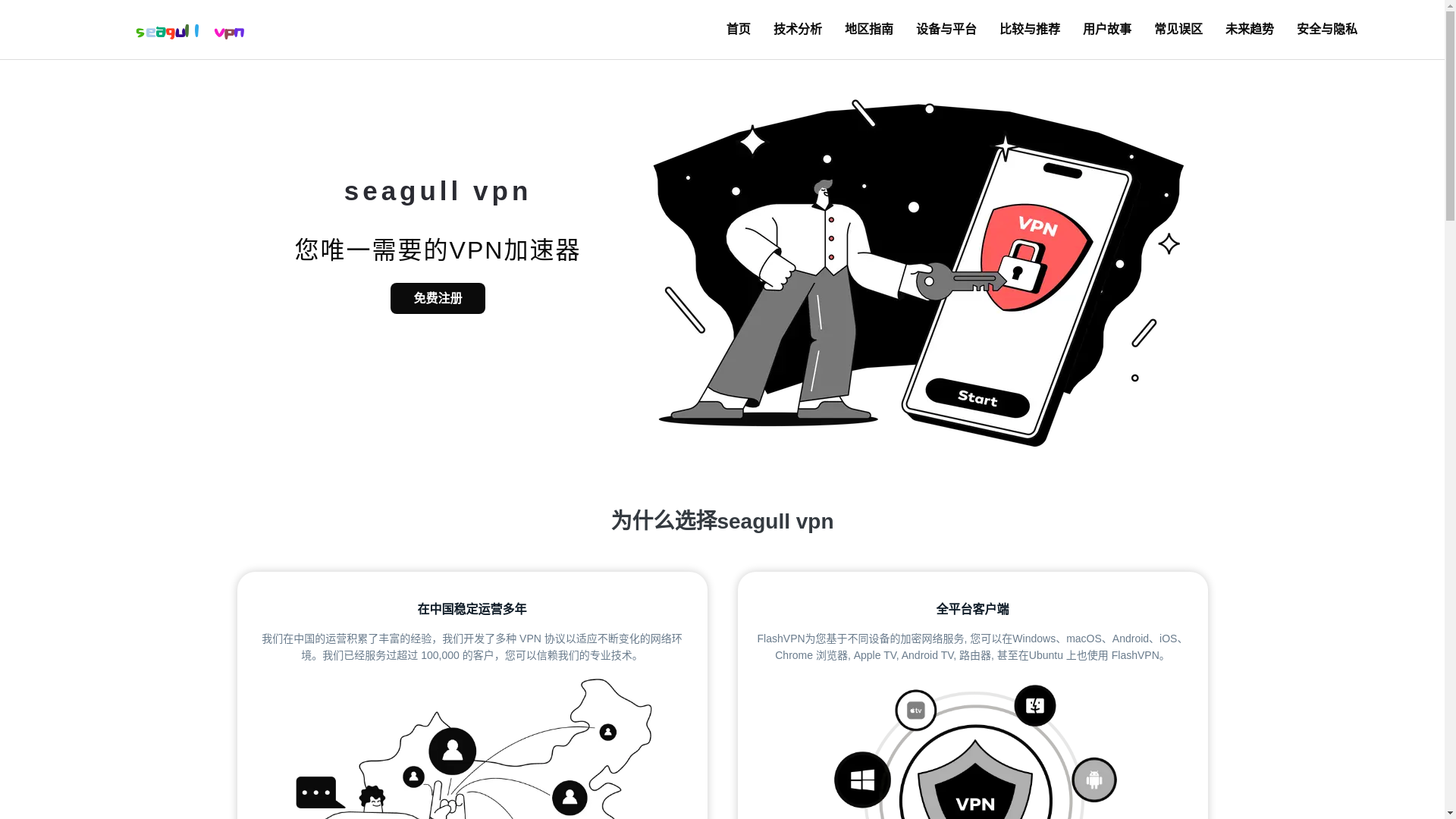 website screenshot of https://v8-seagullvpn.com/