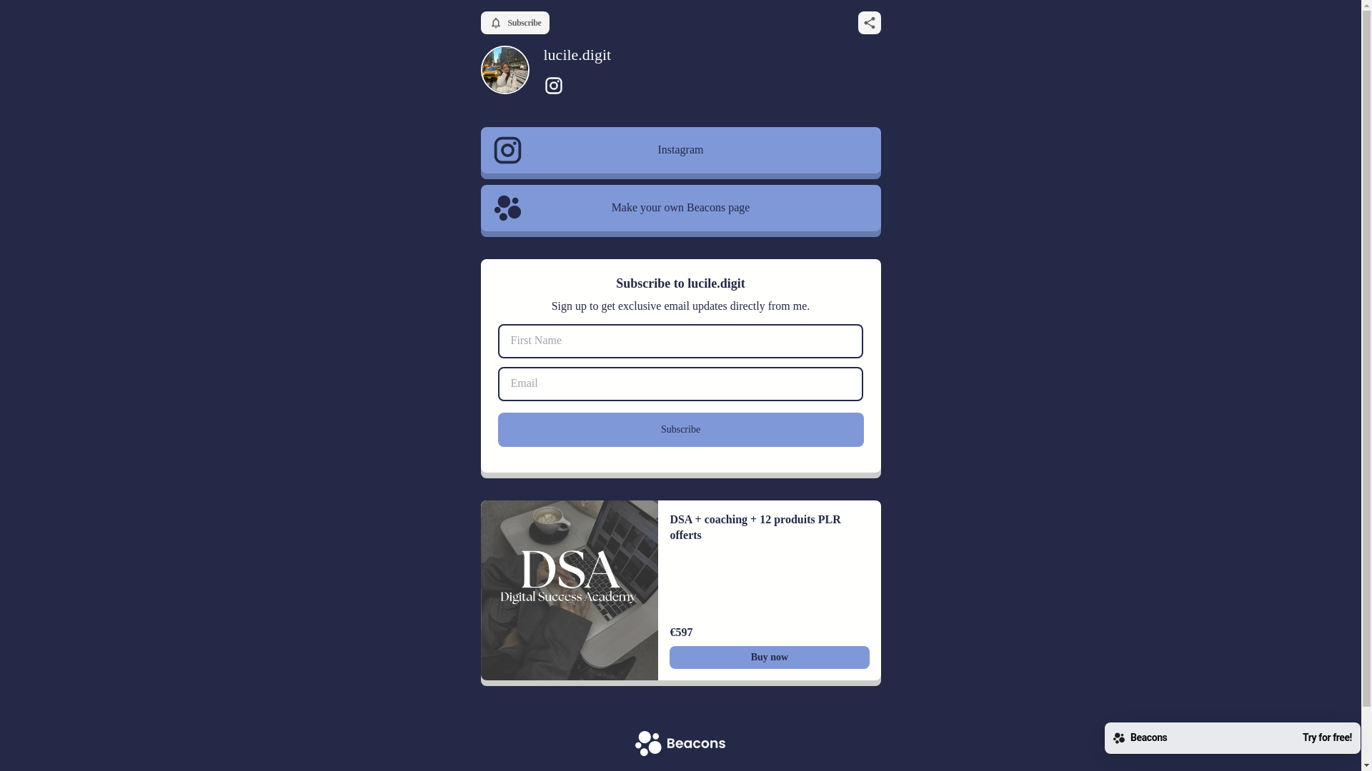 website screenshot of https://luciledigit.com/
