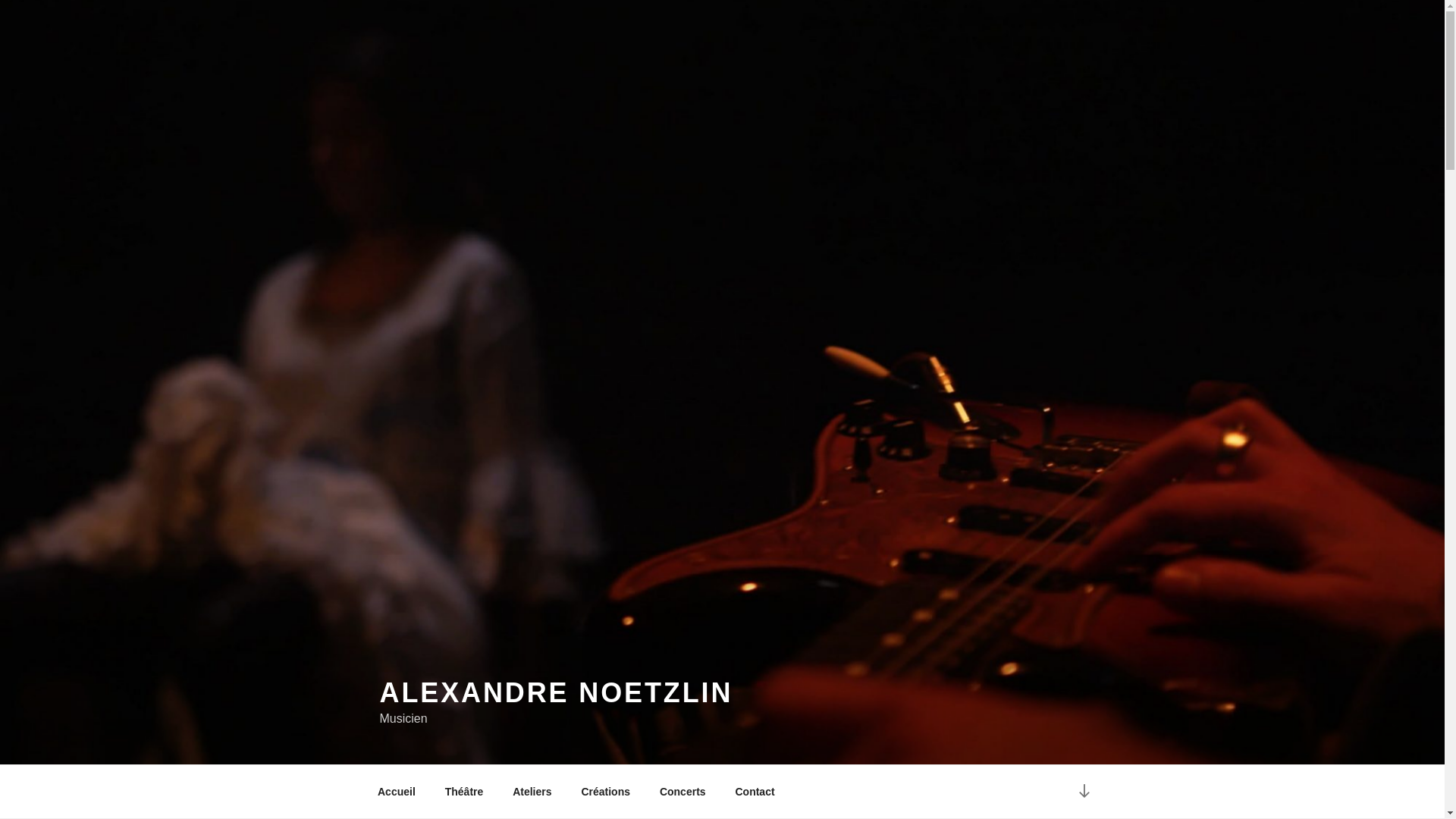 website screenshot of https://alexandrenoetzlin-art.com/
