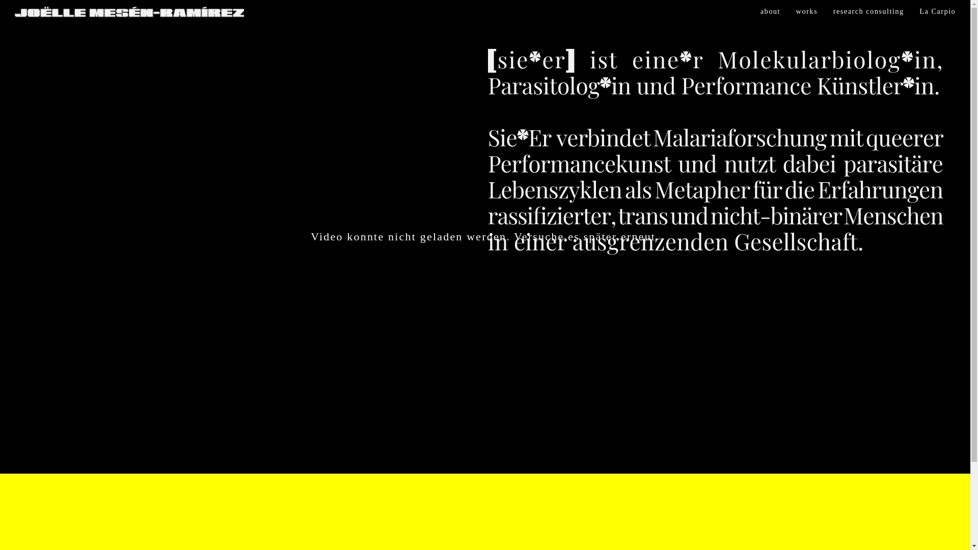 website screenshot of https://joellemesenramirez.com/