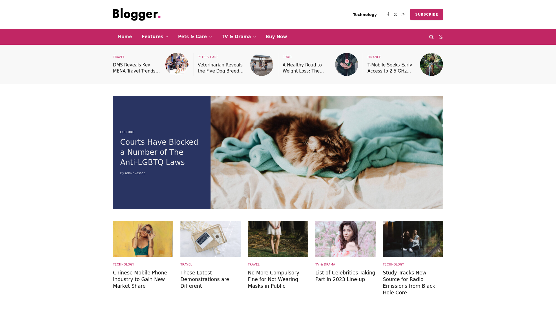 website screenshot of https://vashat.org/