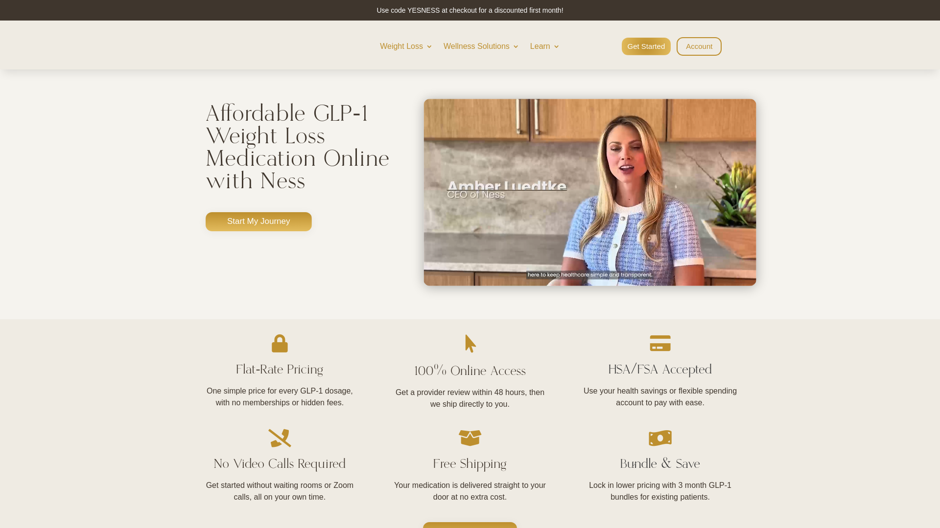 website screenshot of https://nesspro.info/