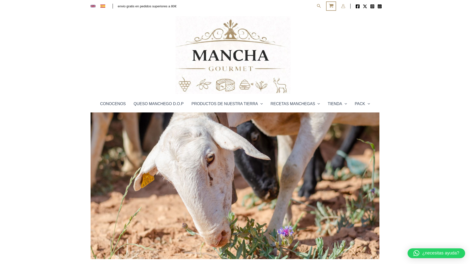 website screenshot of https://manchagourmet.es