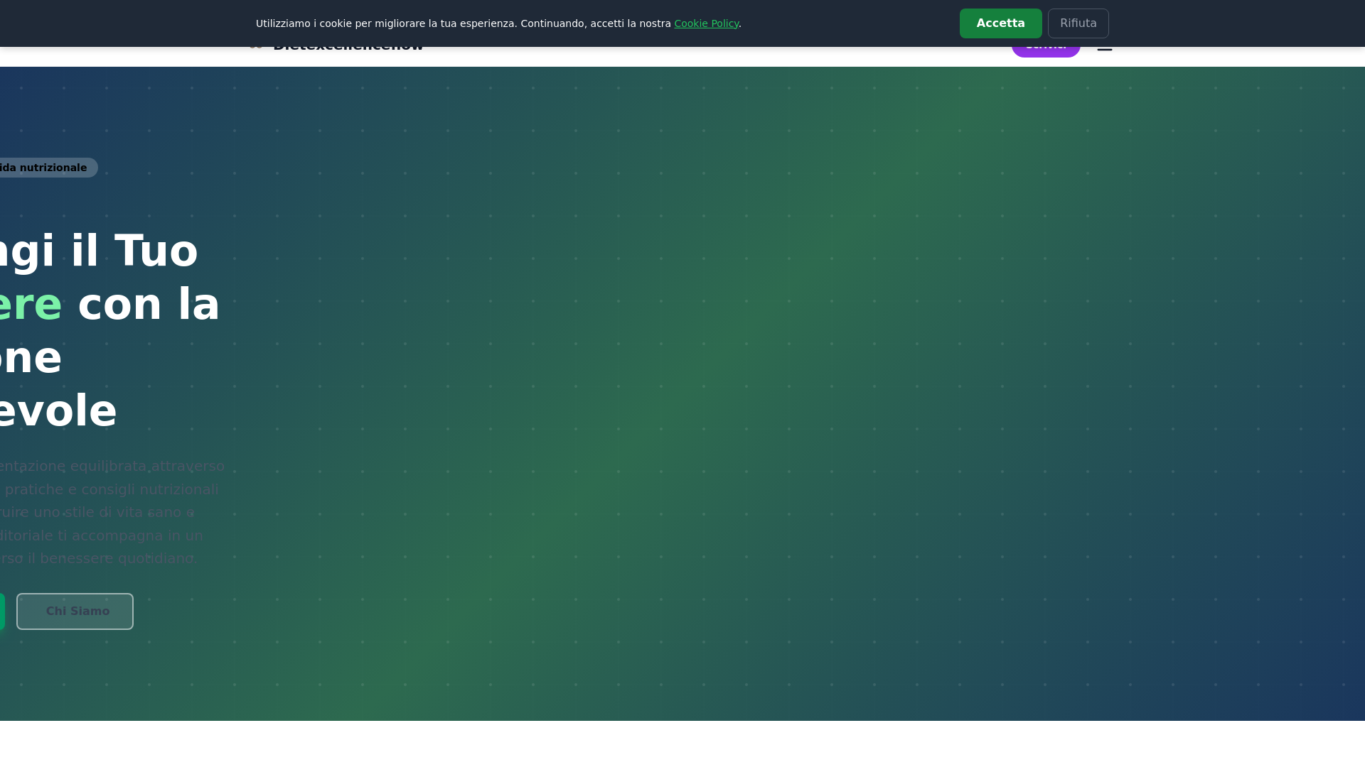 website screenshot of https://dietexcellenceflow.info/