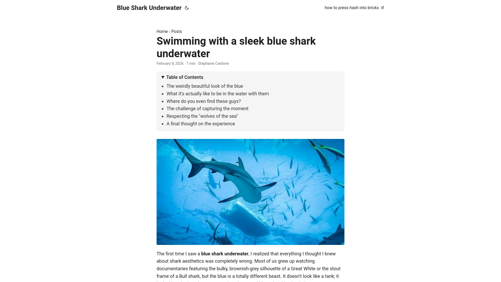 website screenshot of https://blue-shark-underwater.pages.dev/