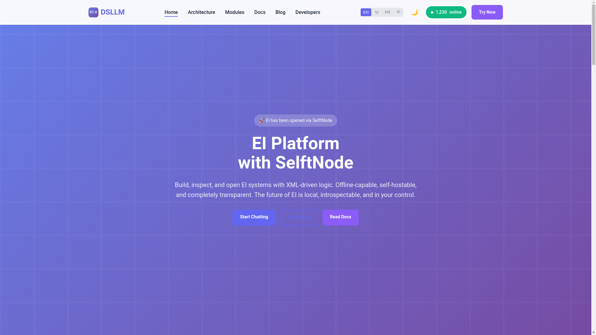 website screenshot of https://dsllm-landing.pages.dev/