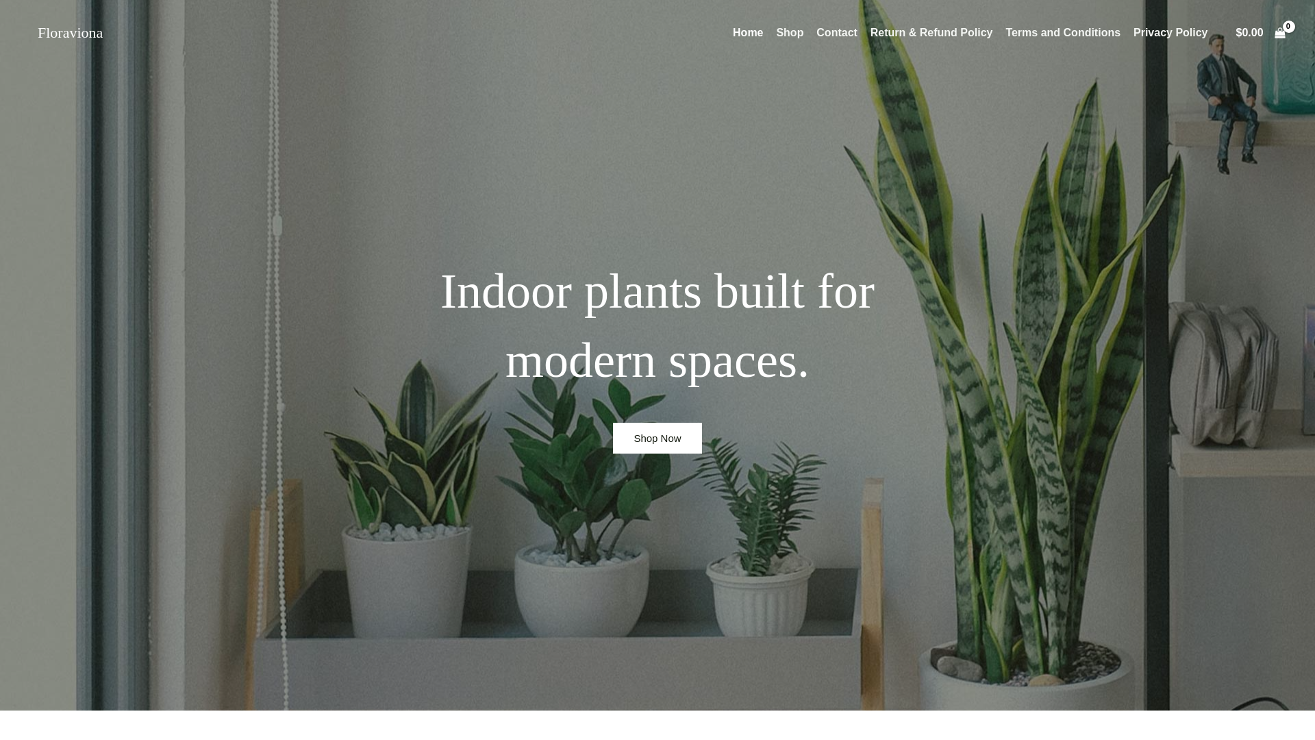 website screenshot of https://floraviona.com/