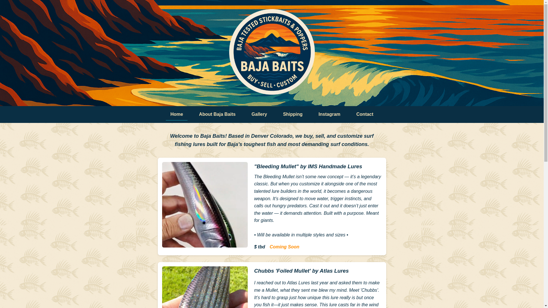website screenshot of https://baja-baits.pages.dev/