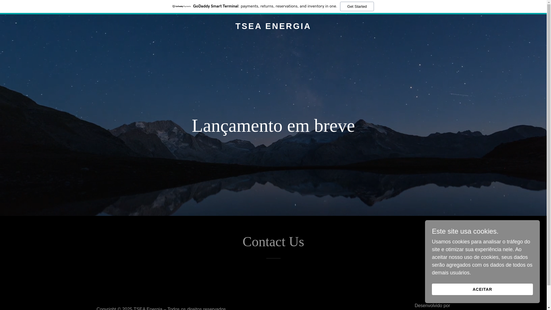 website screenshot of https://tseaenergy.com/