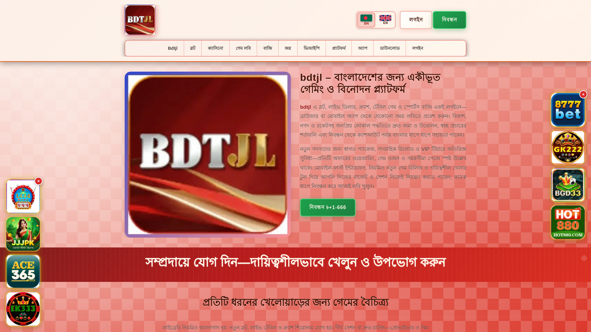 website screenshot of https://bdtjltin.com/