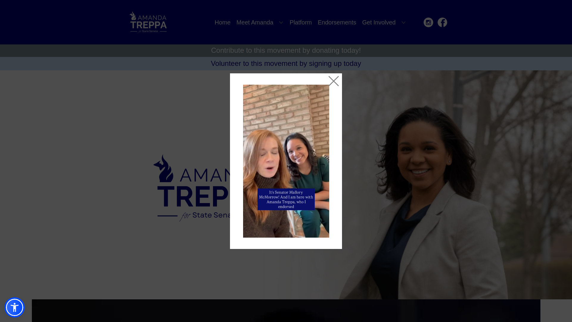 website screenshot of https://3-23-26-v1-amandatreppaforstatesenate.pages.dev/