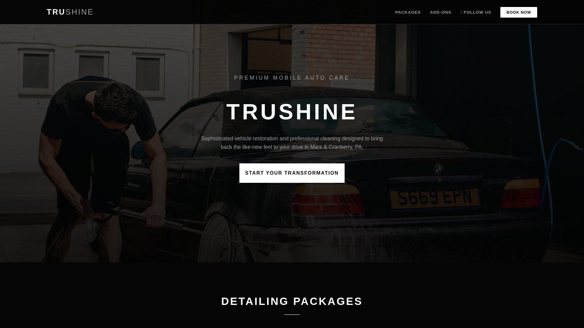 website screenshot of https://trushineauto.org/