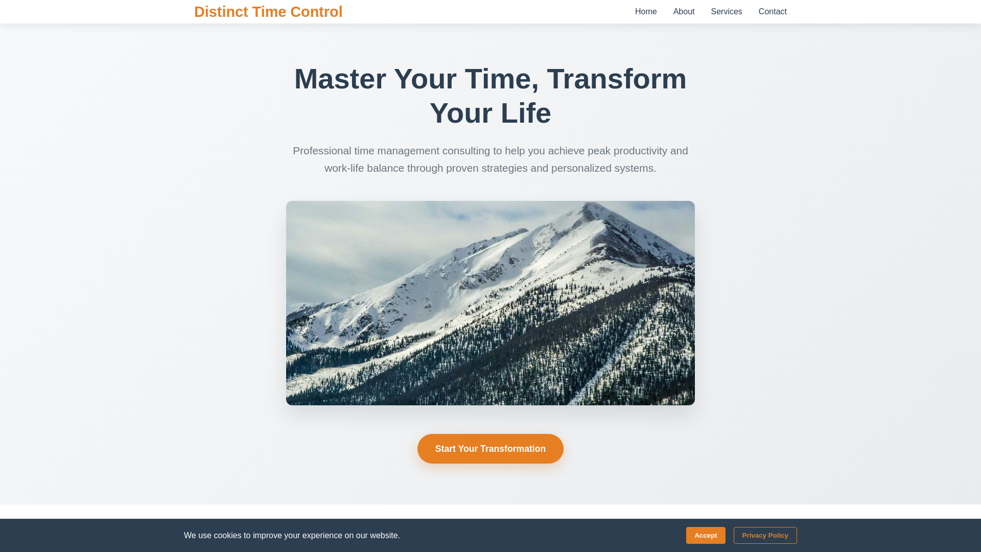 website screenshot of https://distincttimecontrol.shop/