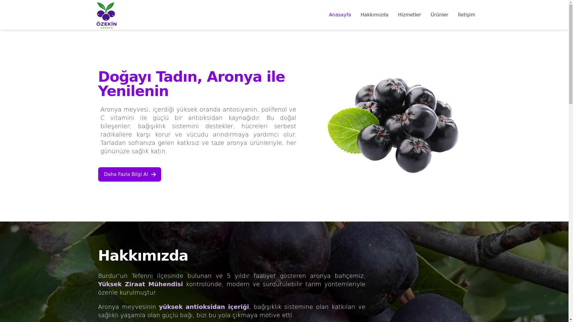 website screenshot of https://ozekinaronya.com.tr/
