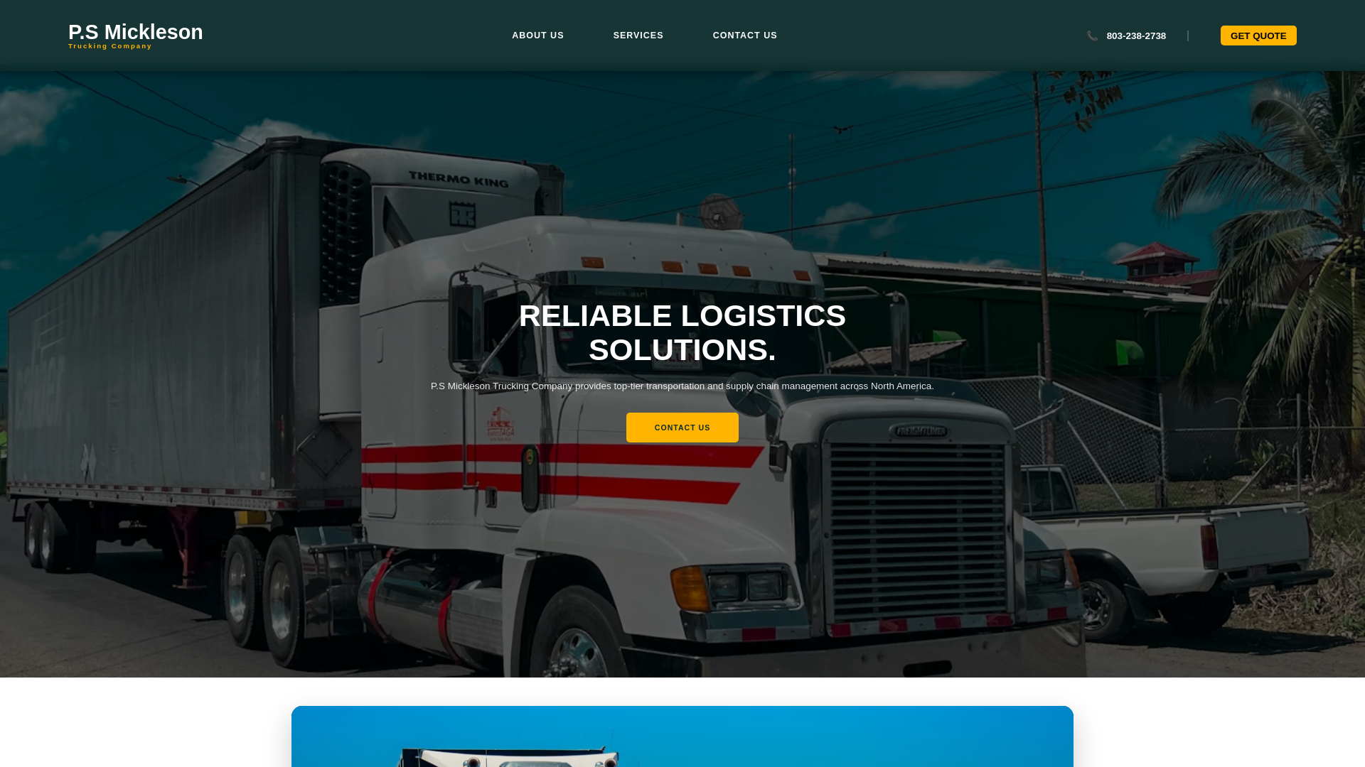 website screenshot of https://psmickleson.pro