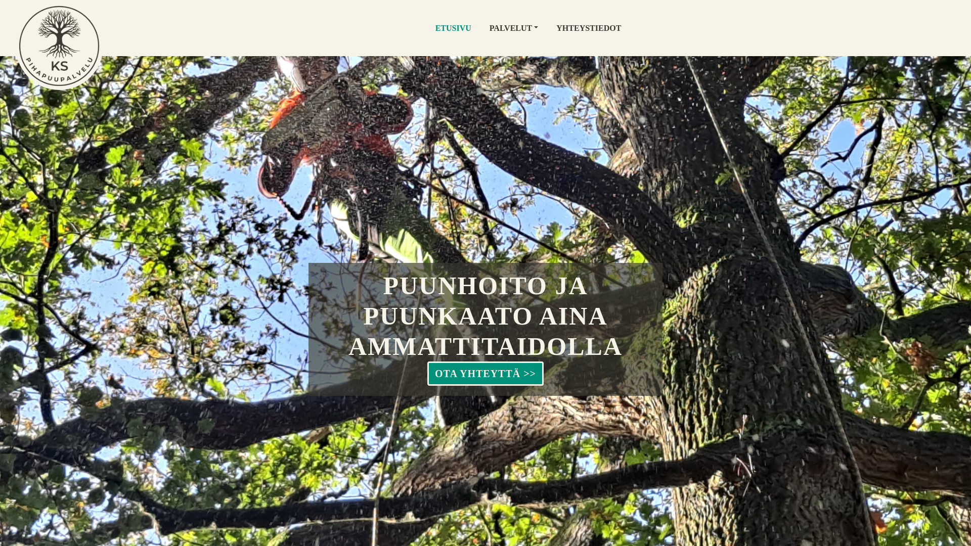 website screenshot of https://arboristijyvaskyla.fi