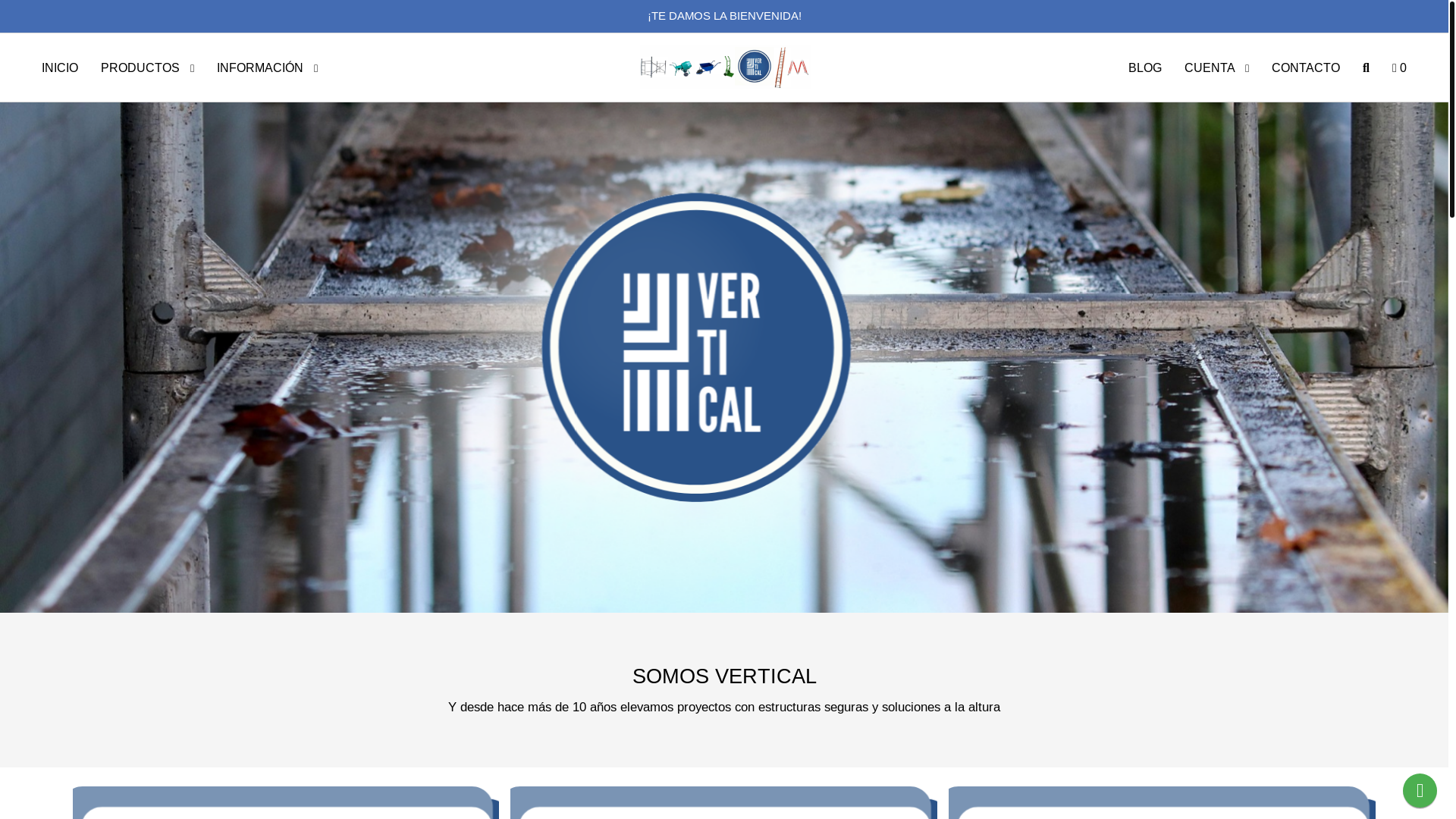 website screenshot of https://verticalandamios.com.ar/