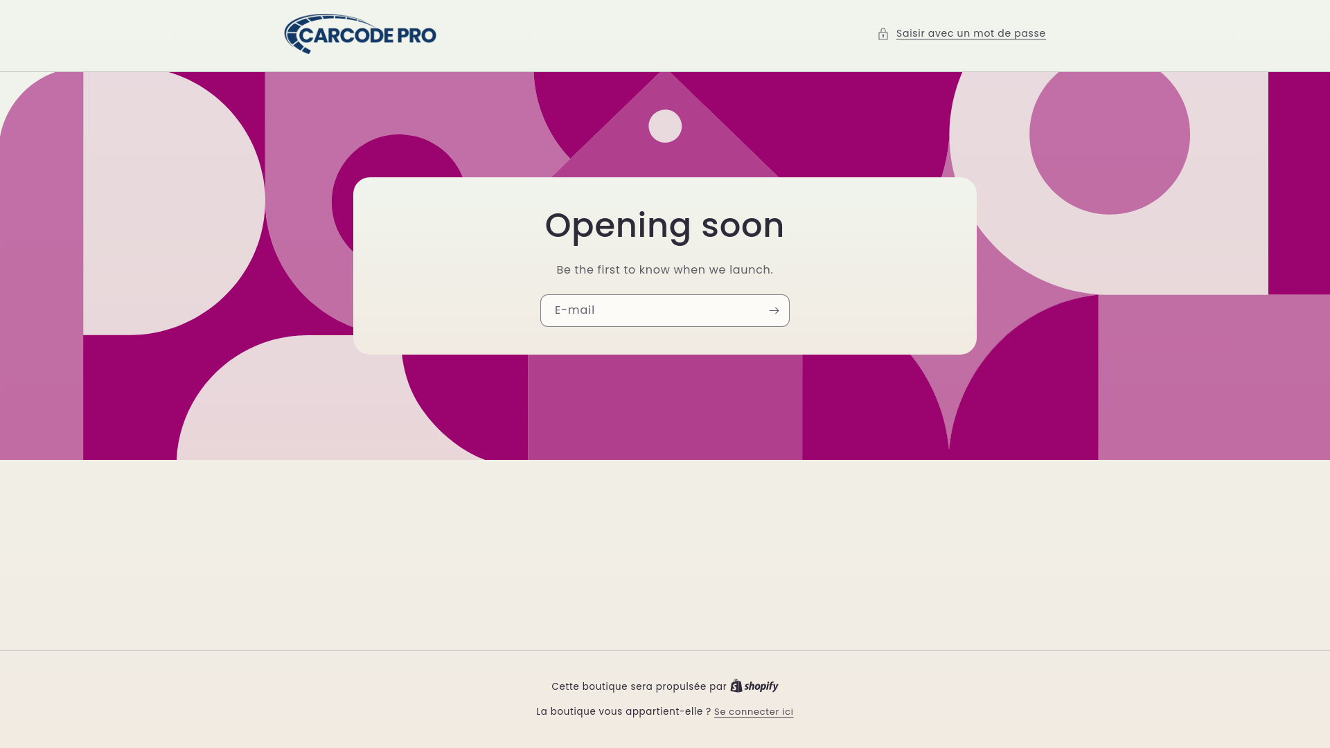 website screenshot of https://carcodepro.shop/