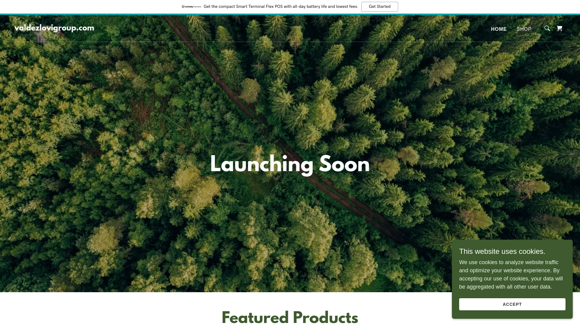 website screenshot of https://valdezlovigroup.com/