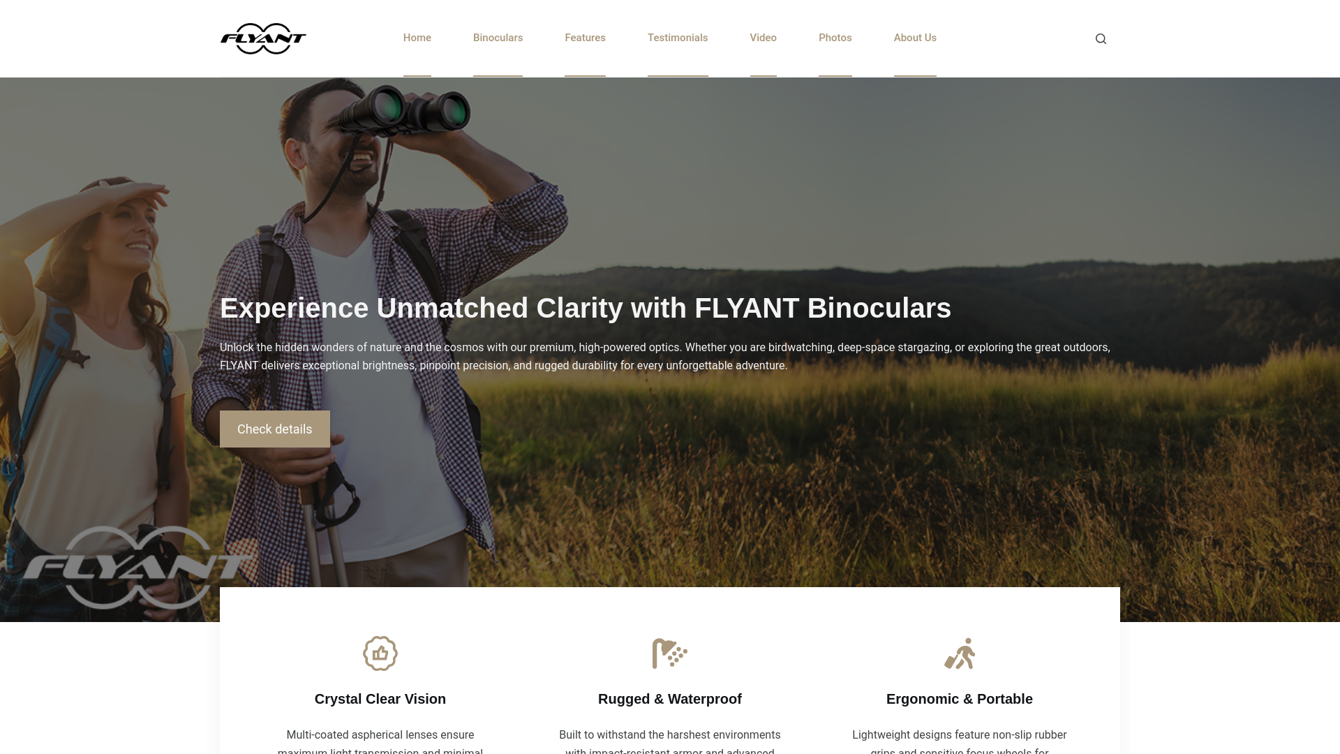 website screenshot of https://theflyant-com.pages.dev/