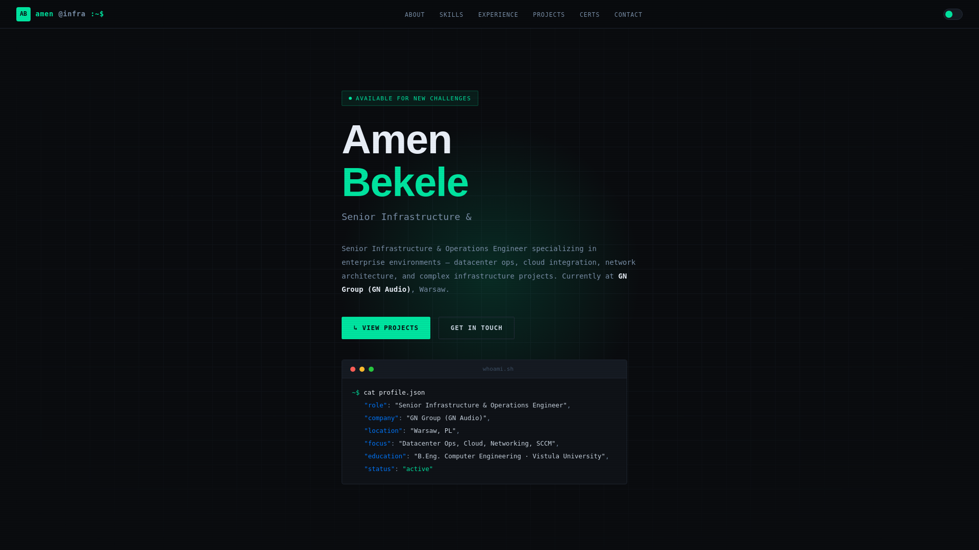 website screenshot of https://amenbekele.dev/