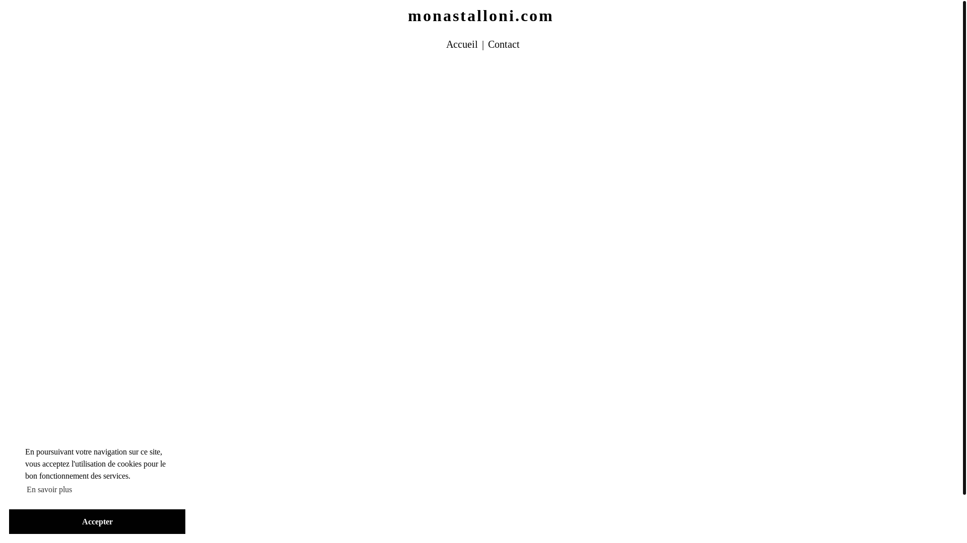 website screenshot of https://monastalloni.com/