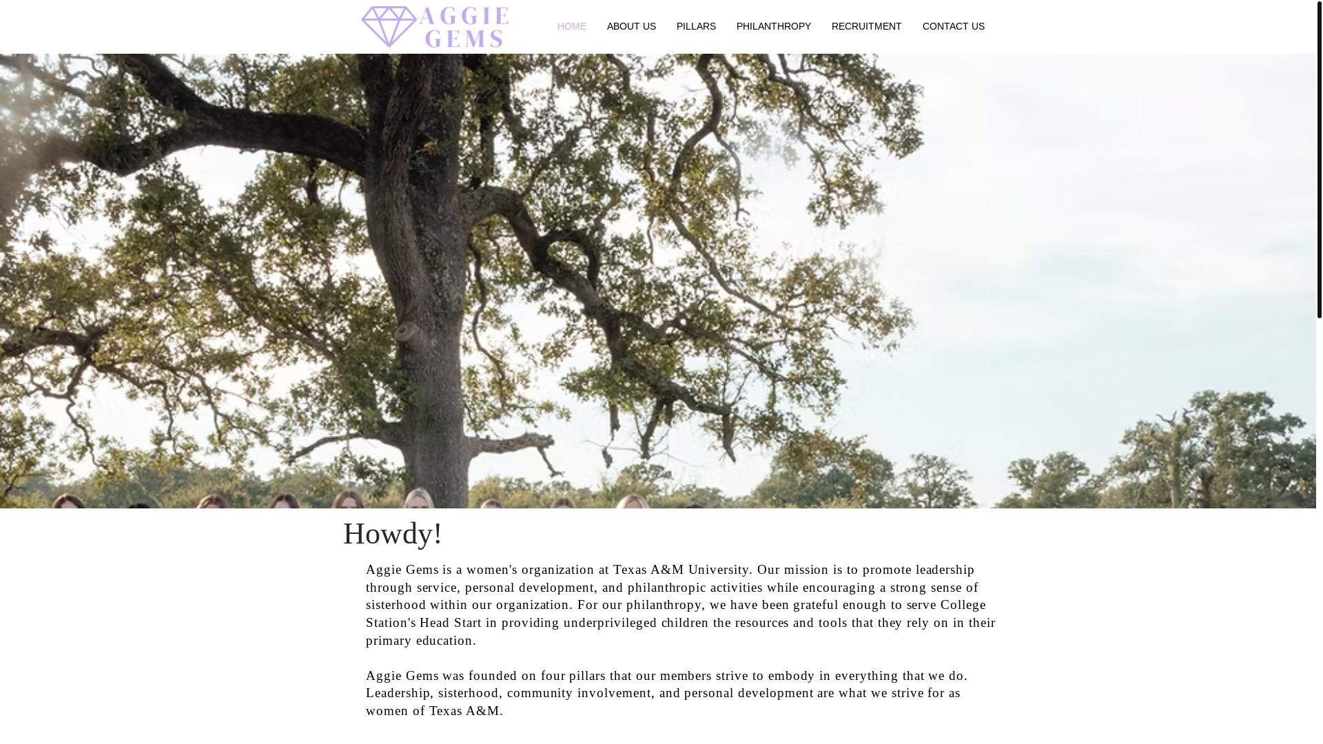 website screenshot of https://aggiegems.org/
