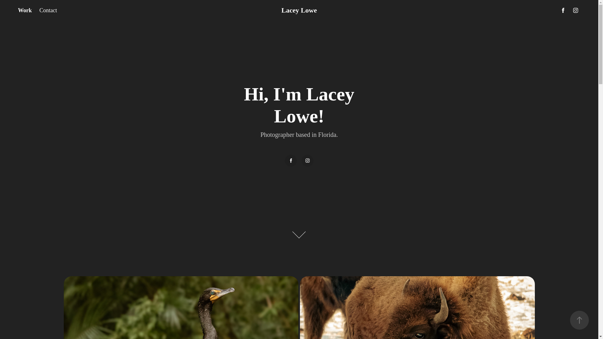website screenshot of https://laceylowephoto.com/
