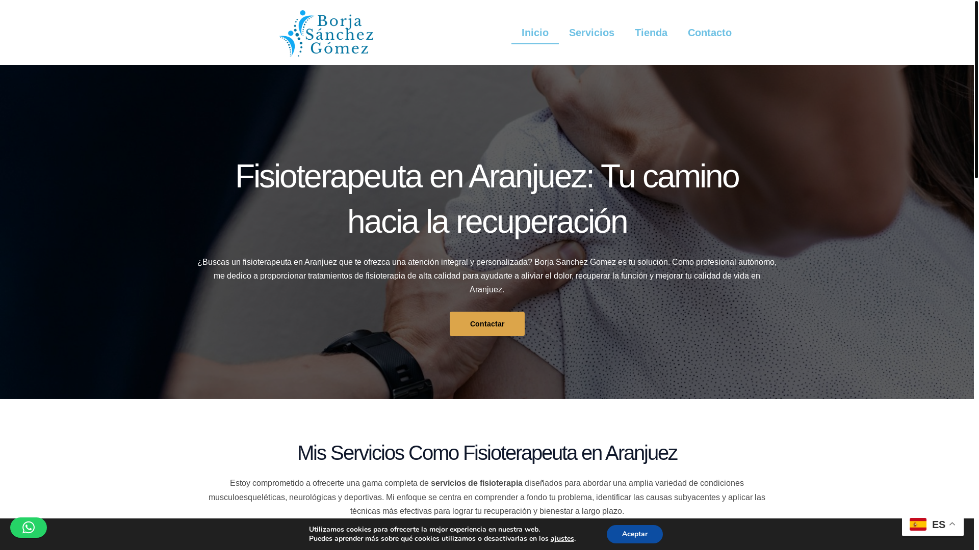 website screenshot of https://borjasgfisioterapeuta.es/