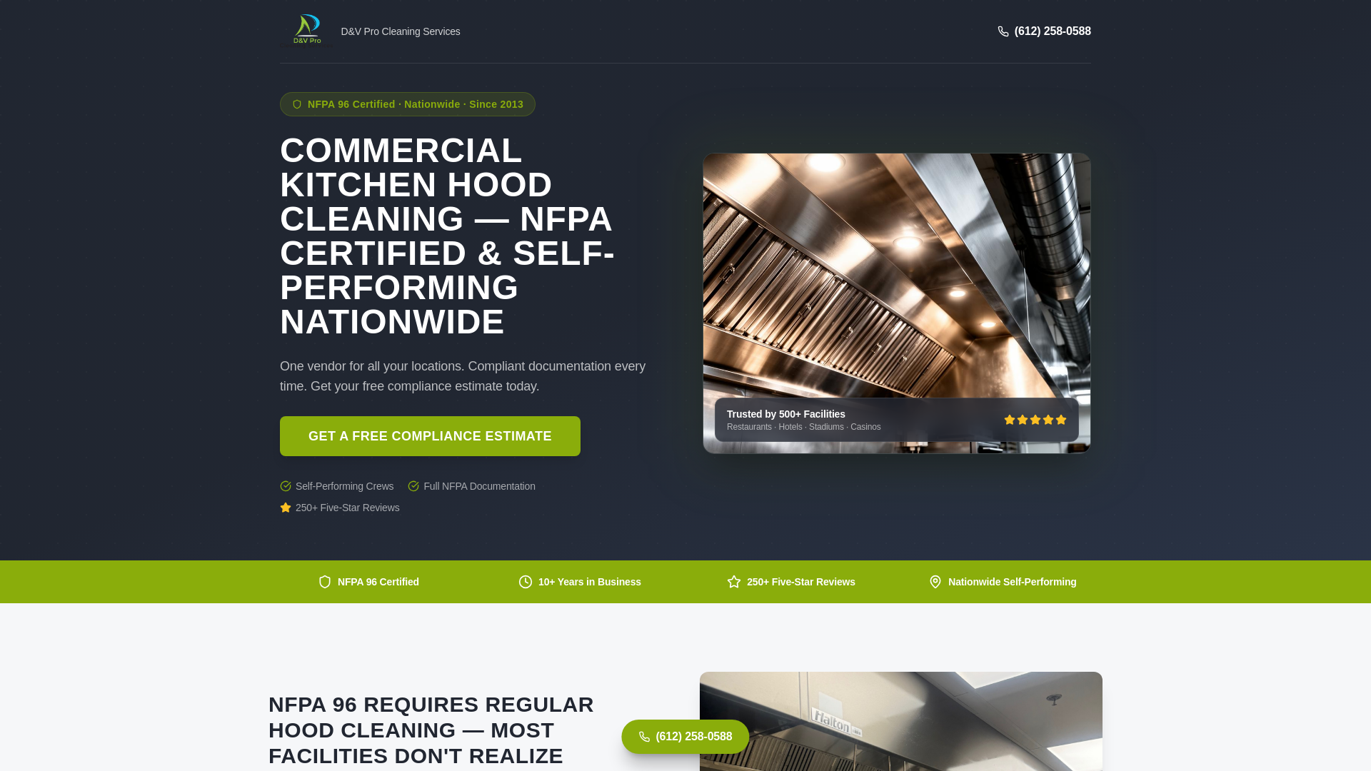 website screenshot of https://dvprocleaningservices.com/