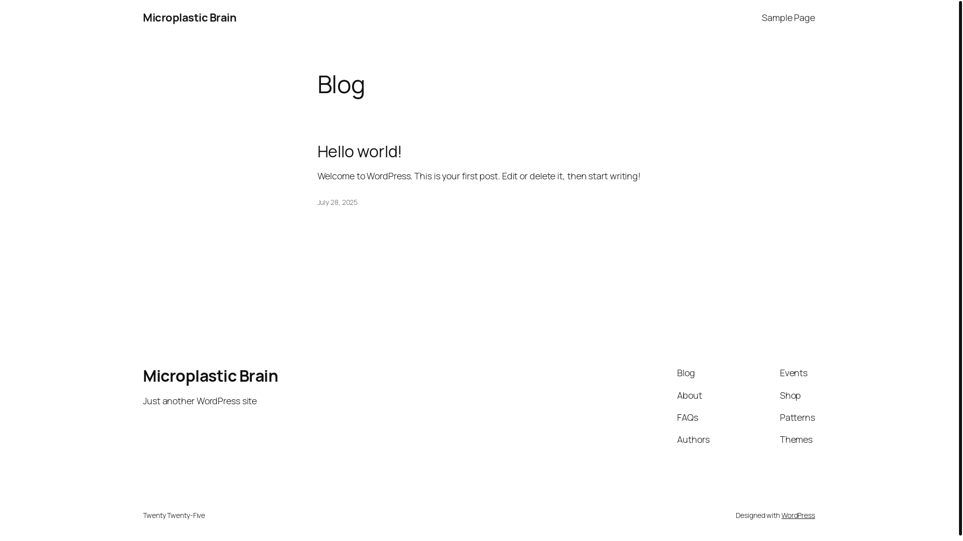 website screenshot of https://microplasticbrain.com/