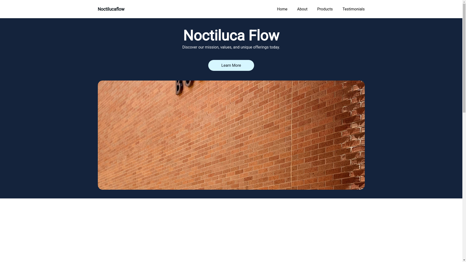 website screenshot of https://noctilucaflow.com/