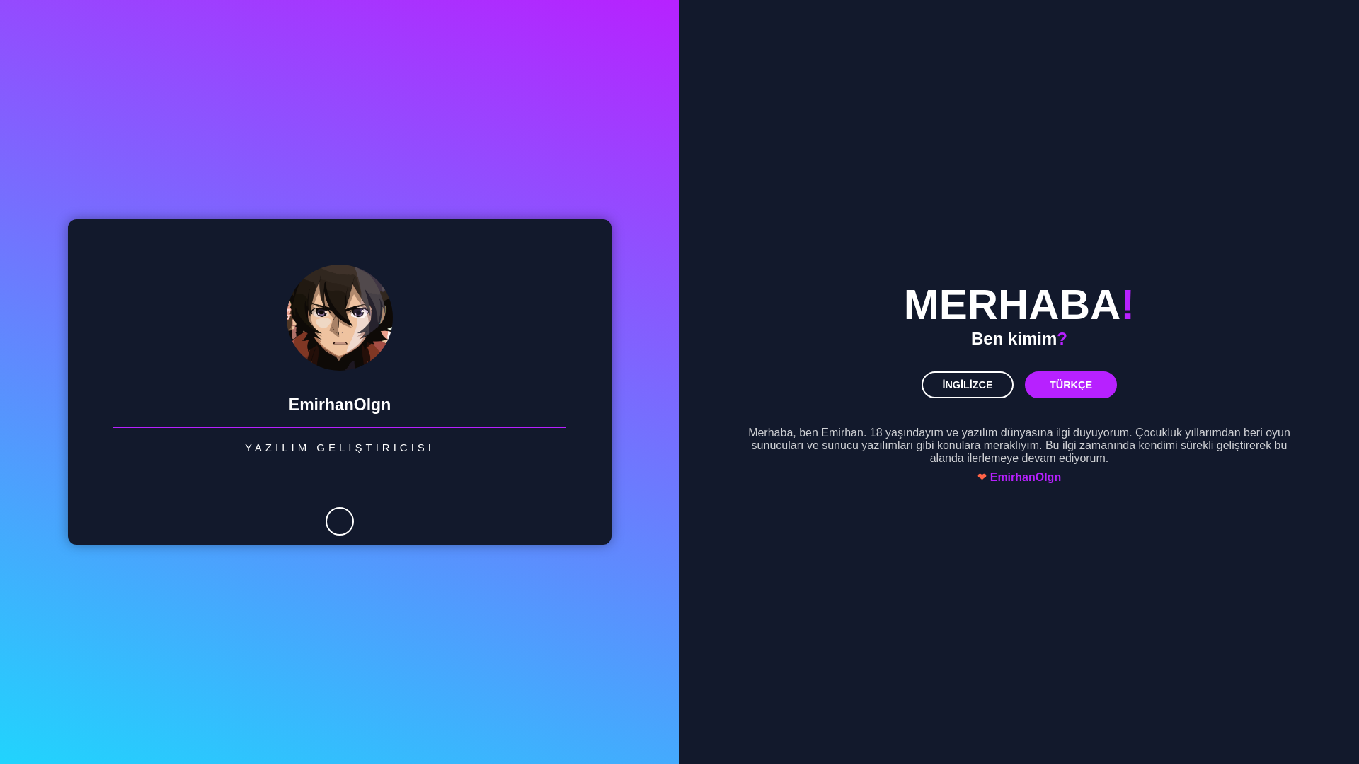 website screenshot of https://emirhan.lol/