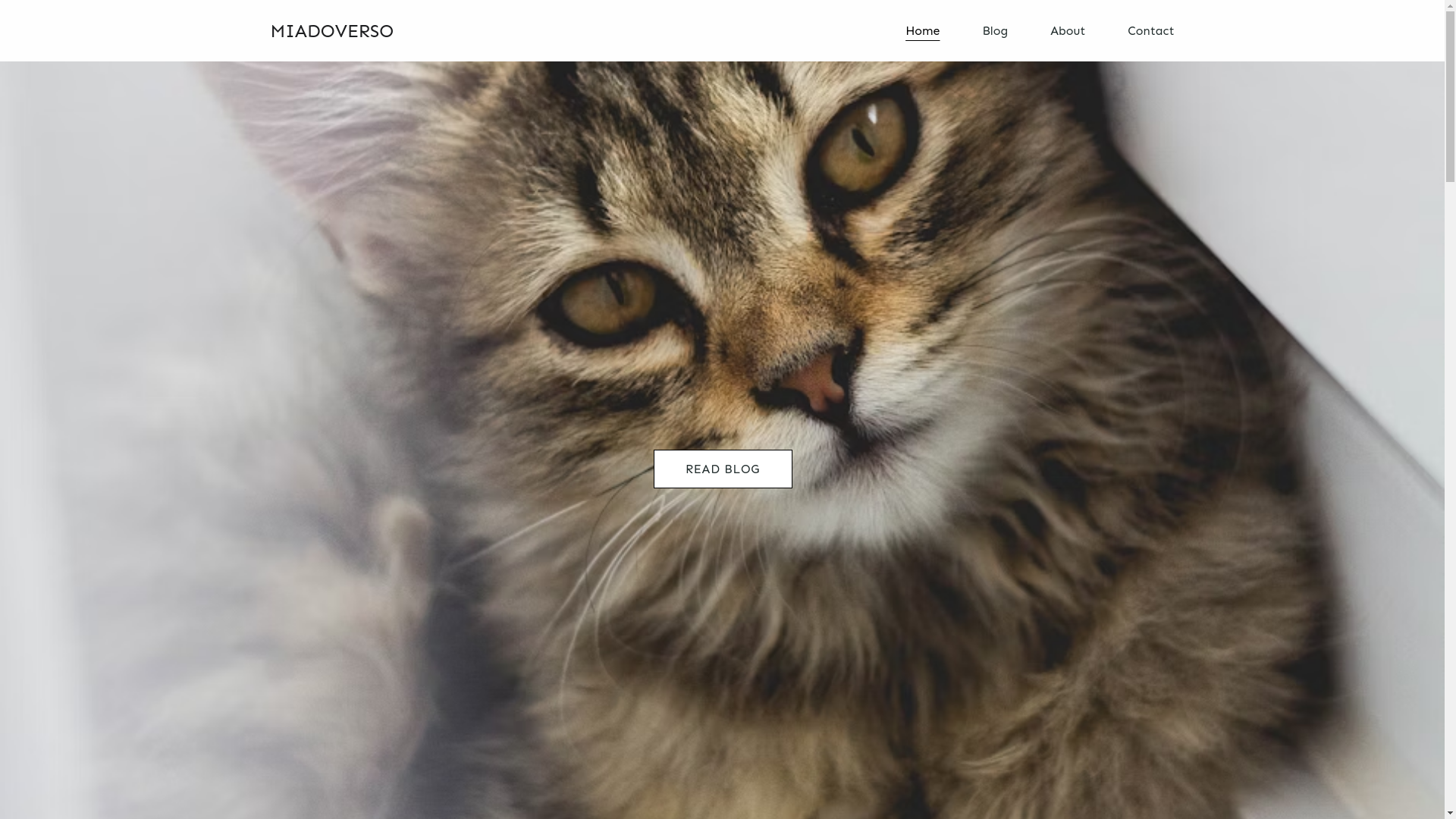 website screenshot of https://miadoverso.com/