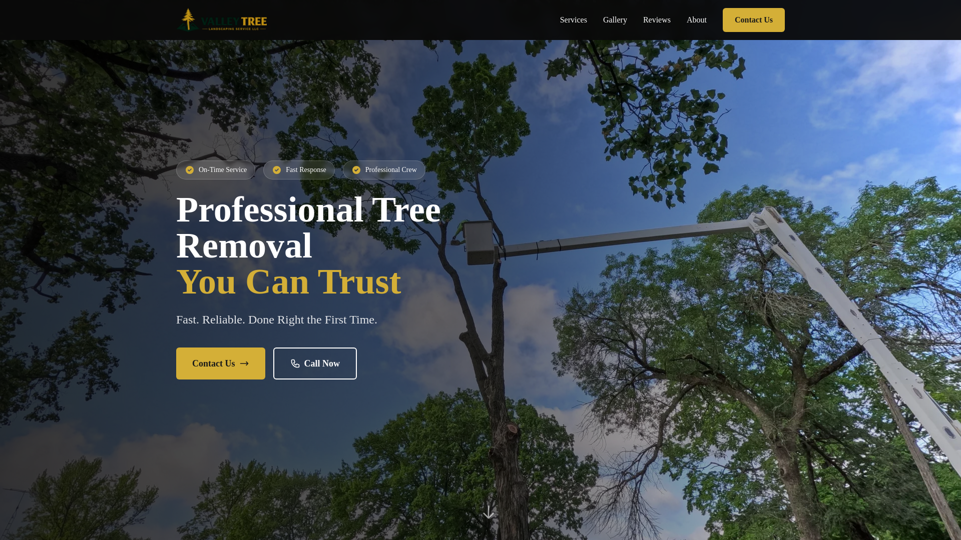 website screenshot of https://valleytreelandscapingservice.com