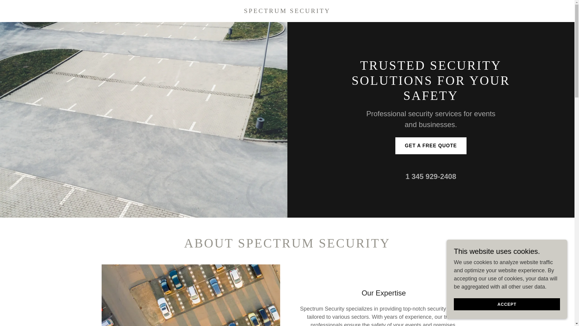 website screenshot of https://spectrumsecurityltd.com/
