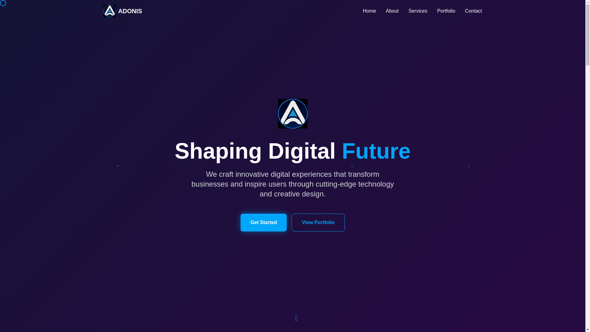 website screenshot of https://adonisoftware.netlify.app/