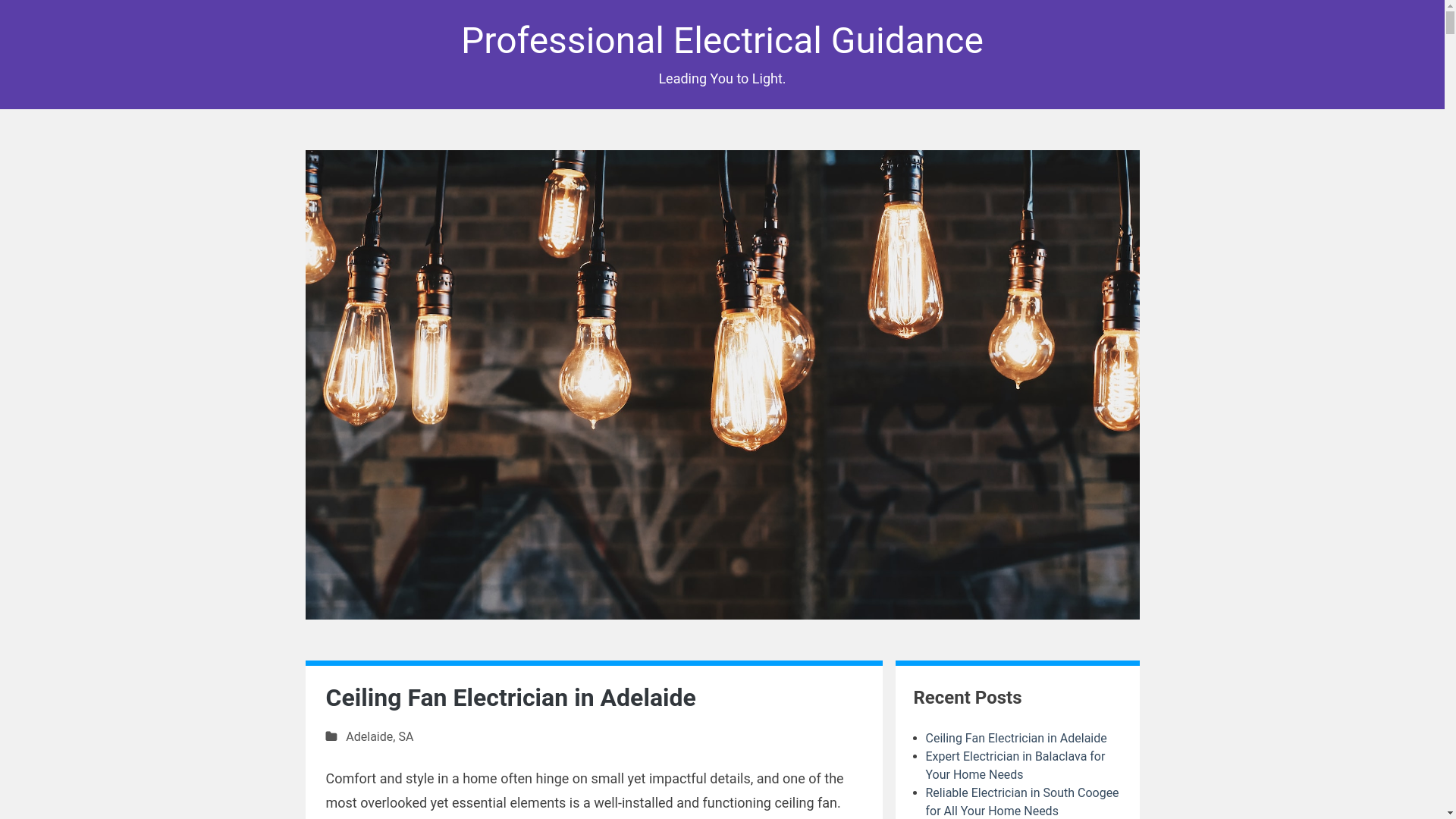 website screenshot of https://professional-electrical-guidance.pages.dev/