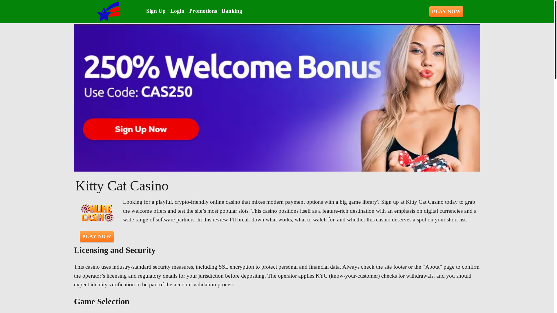 website screenshot of https://kittycatscasino.com/