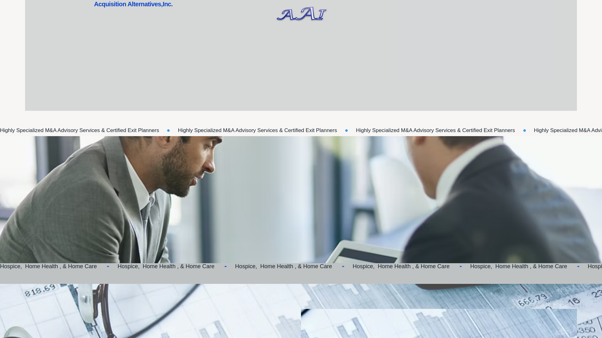 website screenshot of https://tryacquisitionalternatives.com