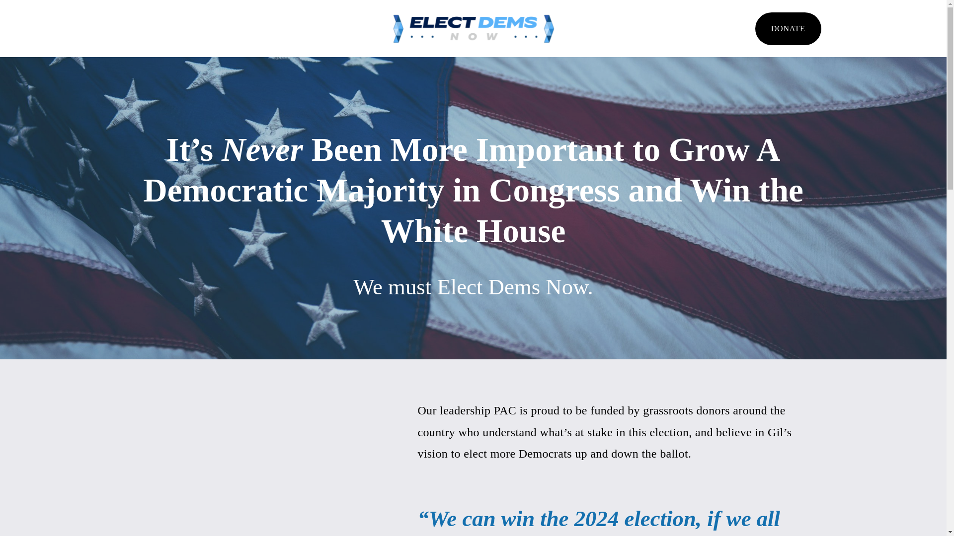website screenshot of https://elect-dems.org/