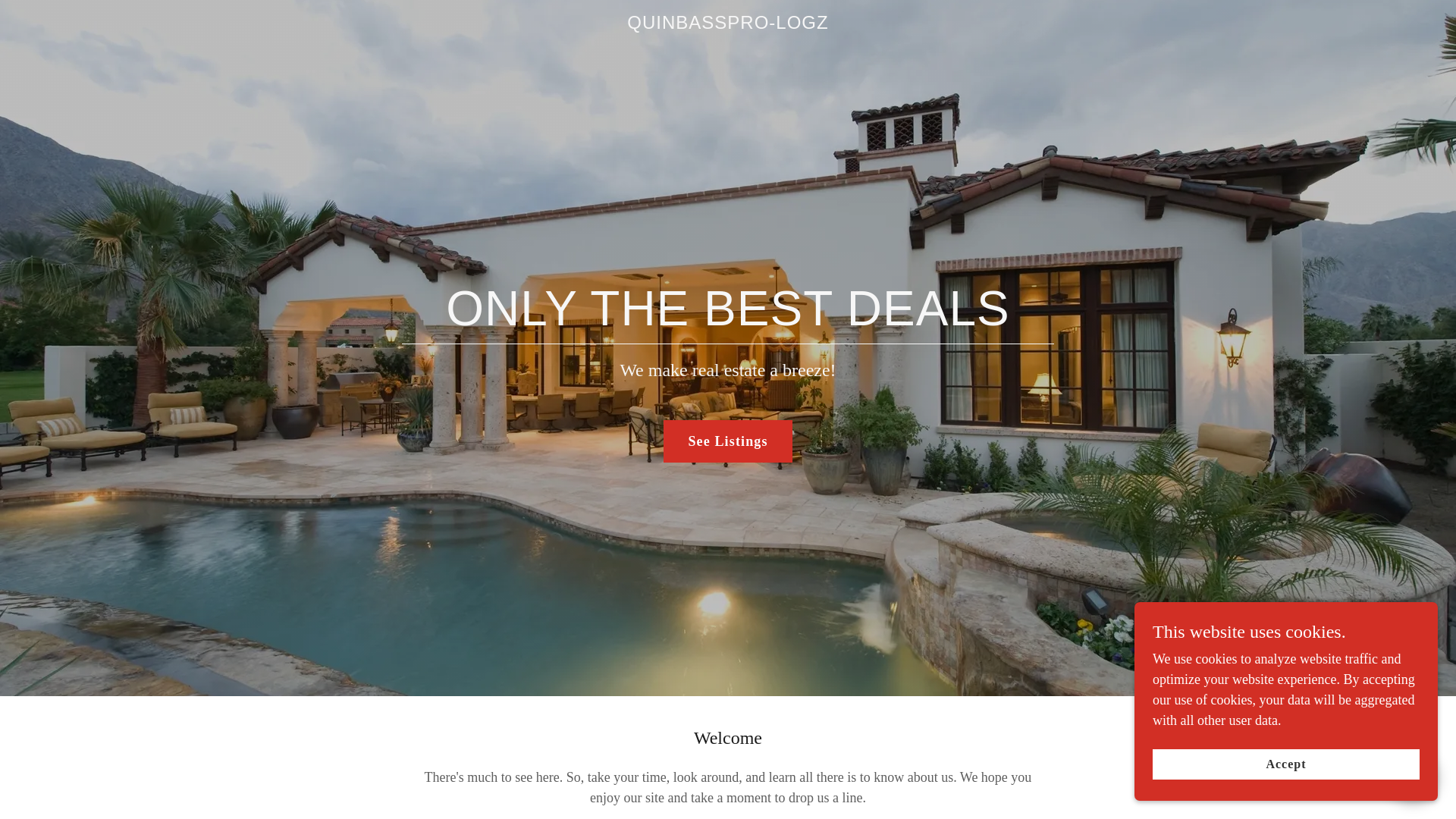 website screenshot of https://quinbasspro-logz.godaddysites.com/
