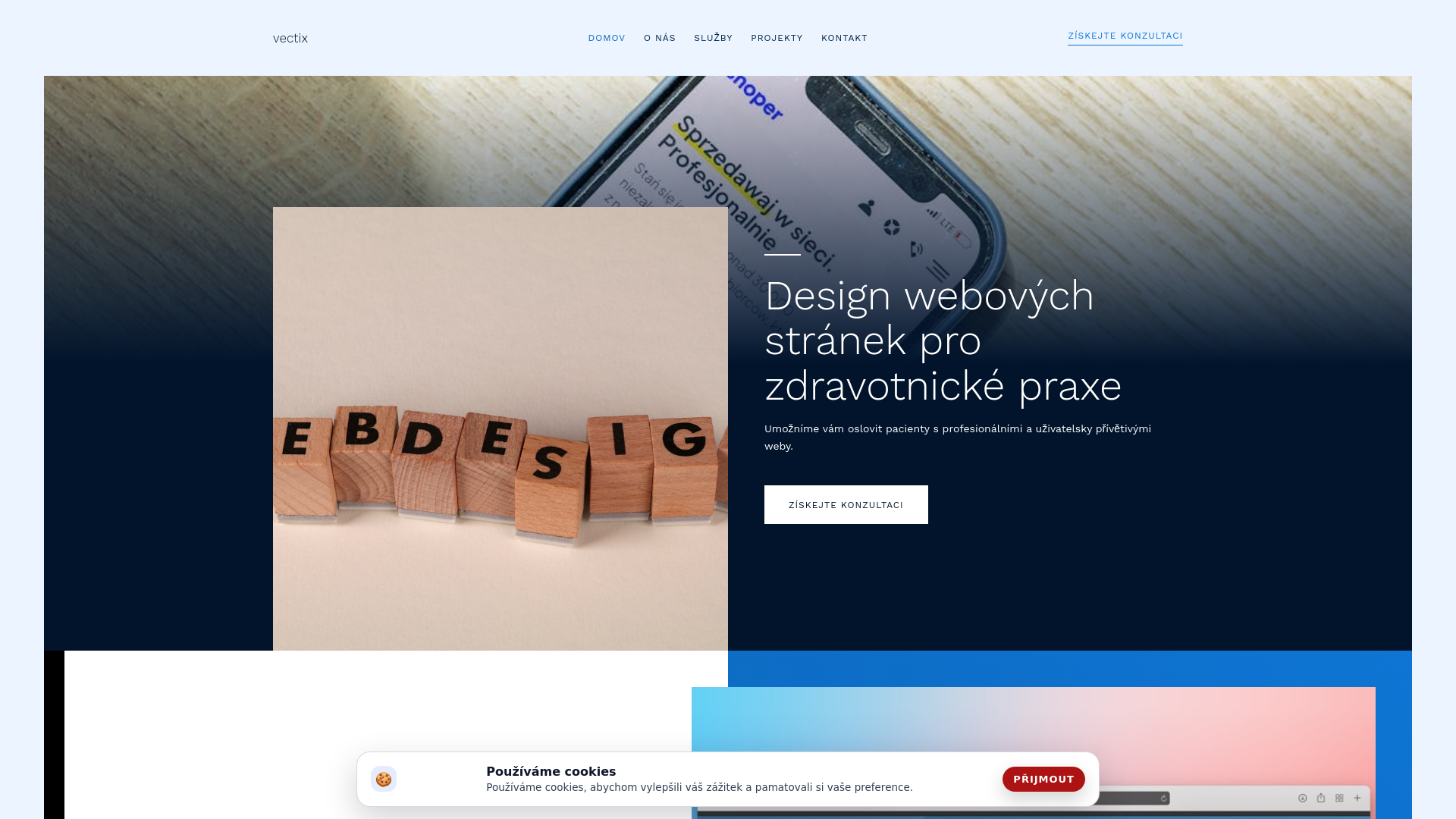 website screenshot of https://vectix.company