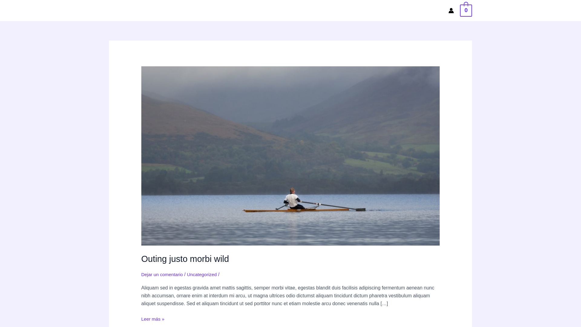 website screenshot of https://eldiaquedejedeesperar.com