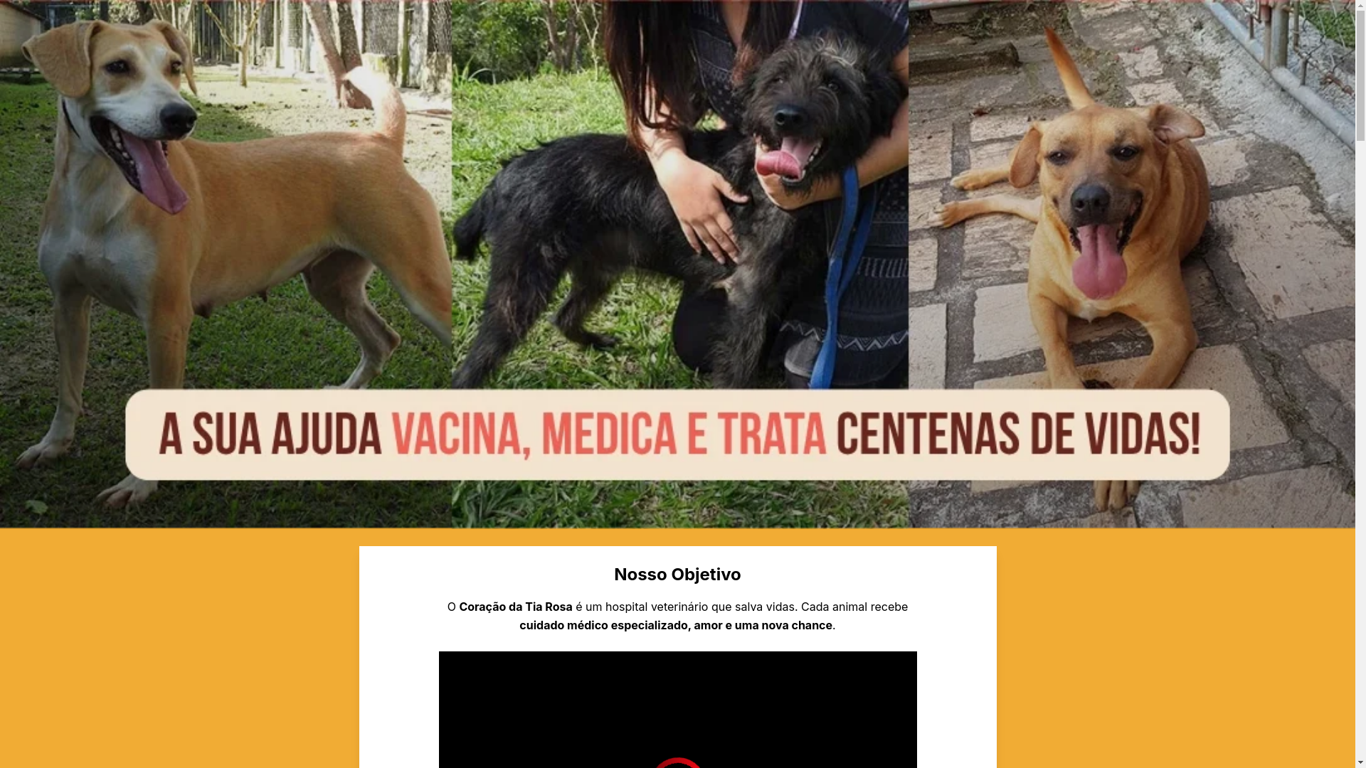 website screenshot of https://coracaodatiarosa.com/