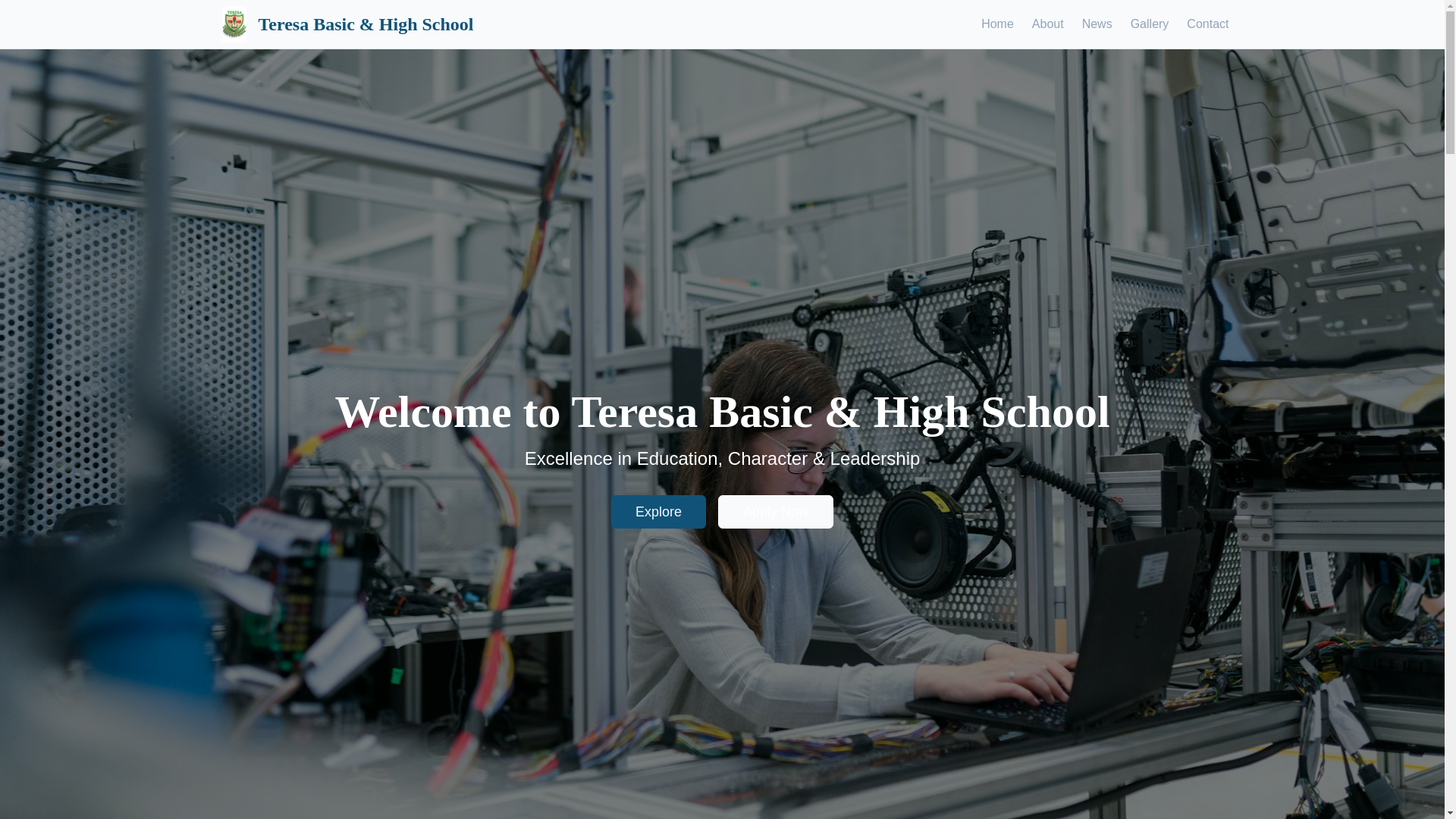 website screenshot of https://teresaschools.com.ng/